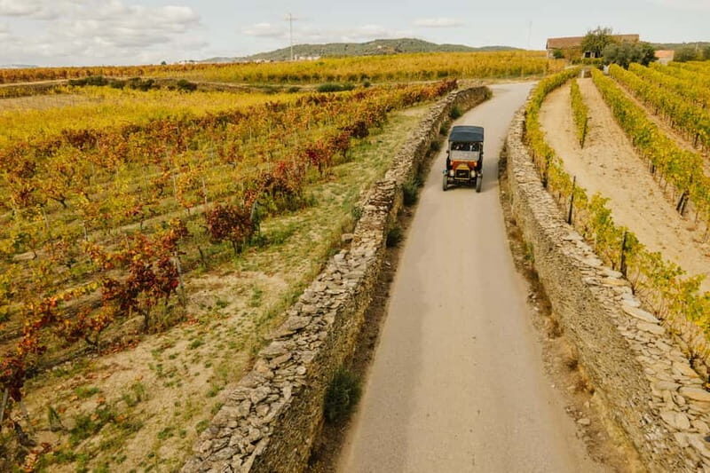 Two days to visit Fall Foliage in Douro Valley - An In-Depth Look at the Tour Experience