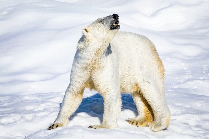 Two Full Days in Lapland - Why This Tour Offers Value