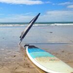 Two Hour Surf Lesson in Torquay on the Great Ocean Road - Final Thoughts: Who Will Love This Experience?
