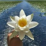 Two Hours Sightseeing Lake Cruise at Montenegro National Park - Authenticity and Value