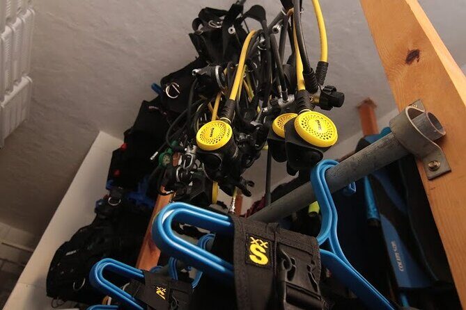 Two Morning Dives in Gozo for Certified Diver - What to Expect on Your Gozo Scuba Adventure