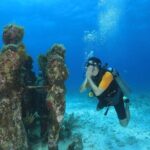 Two Tanks Scuba Diving for Beginners in Cancun - Why This Tour Offers Great Value