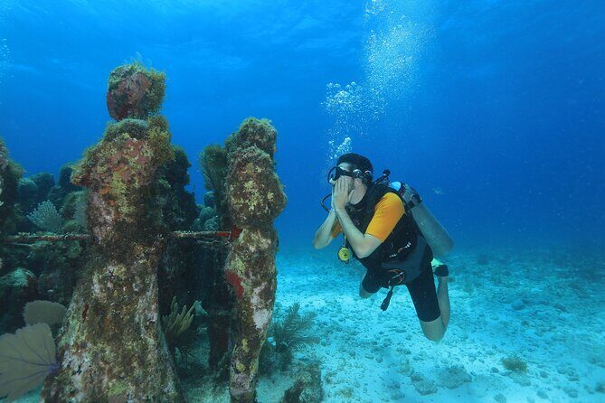 Two Tanks Scuba Diving for Beginners in Cancun - Why This Tour Offers Great Value