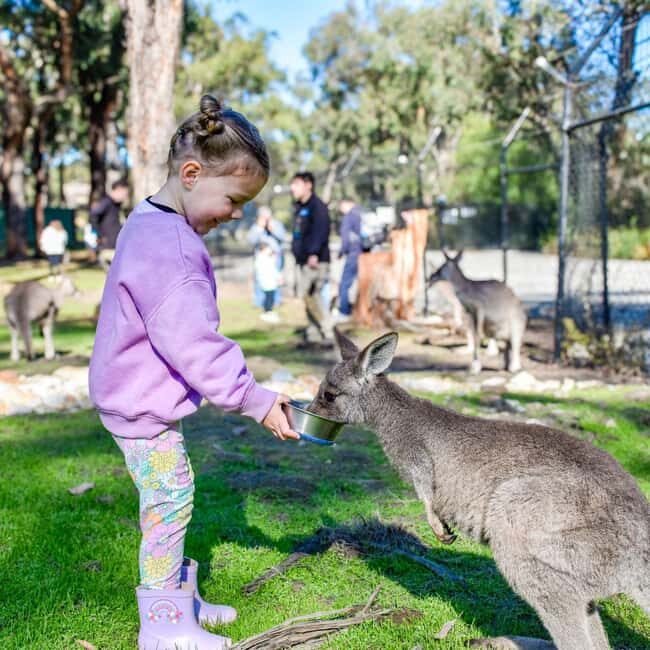 Tynong/Melbourne: Gumbuya World Theme Park Entry Ticket - The Sum Up