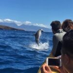 Ultimate 4 Hour Lanai Snorkel and Dolphin Encounter - Practical Details and Considerations