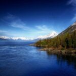 Ultimate Anchorage and Turnagain Arm Private Full Day Tour - Wildlife Encounters and Conservation
