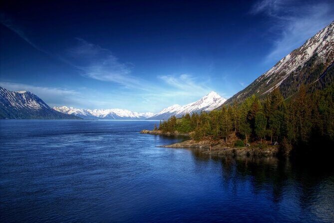 Ultimate Anchorage and Turnagain Arm Private Full Day Tour - Wildlife Encounters and Conservation