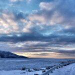 Ultimate Anchorage Winter Wildlife & Sunset Tour - In The Sum Up
