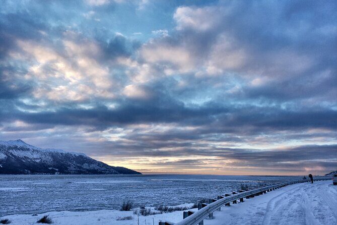 Ultimate Anchorage Winter Wildlife & Sunset Tour - In The Sum Up
