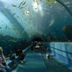 Ultimate Atlanta Walking Tour and Activities - A Deep Dive into Atlanta’s Highlights