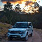 Ultimate Blue Mountains and Wildlife Tour - An In-Depth Look at the Blue Mountains and Wildlife Tour