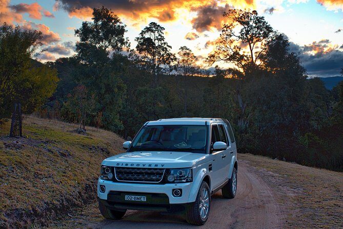 Ultimate Blue Mountains and Wildlife Tour - An In-Depth Look at the Blue Mountains and Wildlife Tour
