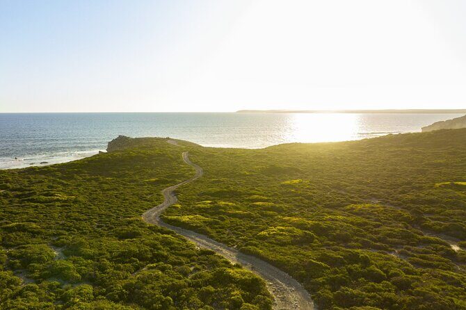 Ultimate Buggy Tour in Kangaroo Island - Why This Tour Offers Good Value