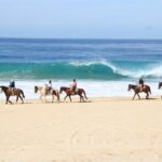 Ultimate Cabo Adventure UTV Horseback and Sky Bike Combo - The Sum Up: Who Will Love This Tour?
