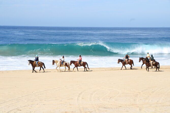 Ultimate Cabo Adventure UTV Horseback and Sky Bike Combo - The Sum Up: Who Will Love This Tour?