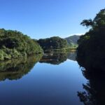 Ultimate Daintree Rainforest Wildlife Experience Cruise - Frequently Asked Questions