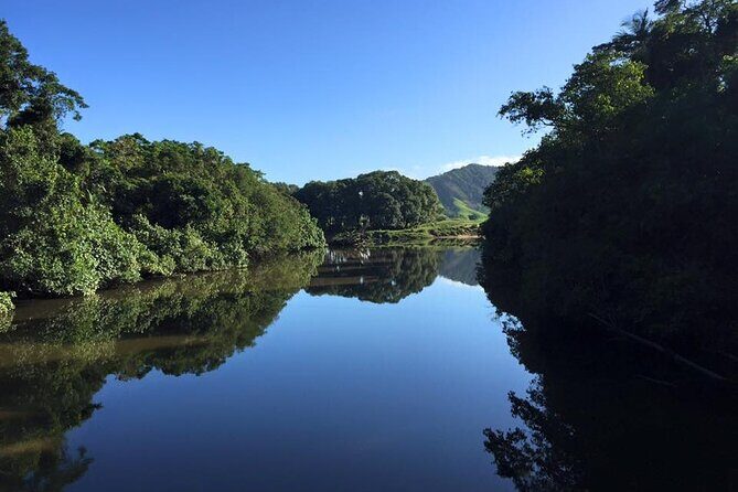 Ultimate Daintree Rainforest Wildlife Experience Cruise - Frequently Asked Questions
