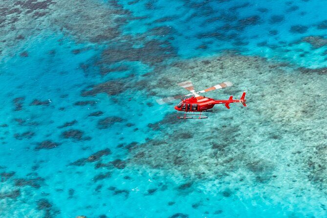 Ultimate Great Barrier Reef and Rainforest 45-minute Helicopter Tour - What We Love About This Tour