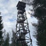 Ultimate Husky dog sledding experience in Latvia - Private tour from Riga - Value Analysis: Is It Worth It?