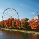 Ultimate Private Montréal City Tour: Culture, Views, Local Flavor - Who Should Consider This Tour?