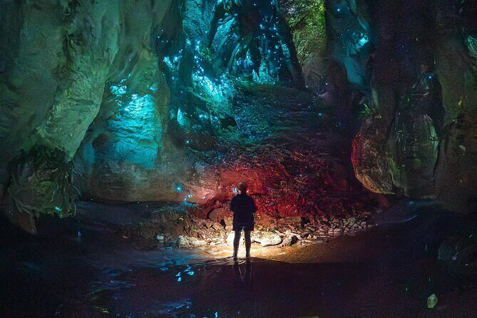Ultimate Waitomo Glowworm Tour  Private, Tailored, After Dark - A More Detailed Look at the Tour