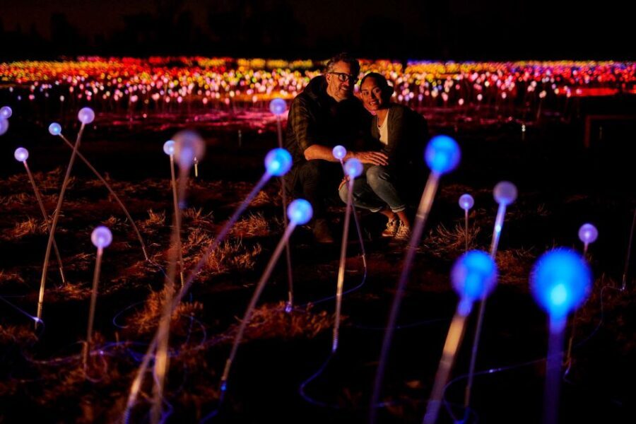 Uluru: Field of Light Sunrise Tour with Hot Drinks - Who Should Consider This Tour?