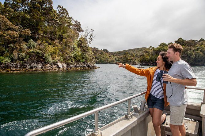 Ulva Island Explorer from Stewart Island - Final Thoughts: Is It Worth It?
