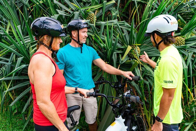 Umauma Falls eBike Tour in Hakalau - What We Think About the Price and Value