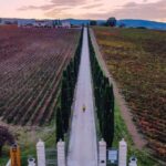 Umbria: Guided wine tasting ColSanto - An In-Depth Look at the ColSanto Wine Tasting Experience