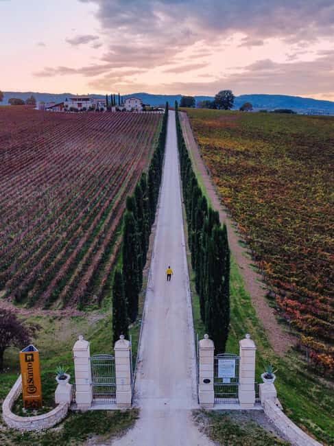 Umbria: Guided wine tasting ColSanto - An In-Depth Look at the ColSanto Wine Tasting Experience