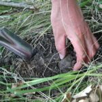Umbria Truffle Hunting Experience with Brunch - The Itinerary: What to Expect Each Step