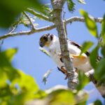 Uncharted Mayan Ruins - Authentic Experiences and Expert Guidance