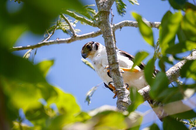 Uncharted Mayan Ruins - Authentic Experiences and Expert Guidance