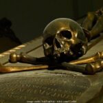 Underground 2.5h Tour with St. Stephens Cathedral Catacombs - Exploring Vienna’s Hidden History Beneath the Streets