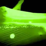 Underground Black Light Theatre Interactive Show in Prague - A Closer Look at the Theatre Experience