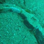 Underwater Archaeology Course - The Practical Value of This Tour