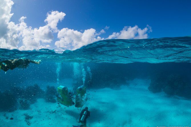 Underwater Scooter - Final Thoughts: Who Will Love This Tour?