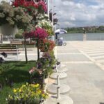 UNESCO Berat and Belsh Day Trip from Tirana (3-6 Pax) - An In-Depth Look at the Tour Experience