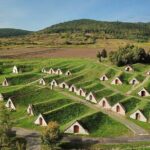 UNESCO World Heritage Wine Day Tour in Tokaj Hungary with Food - The Experience: What You Can Expect