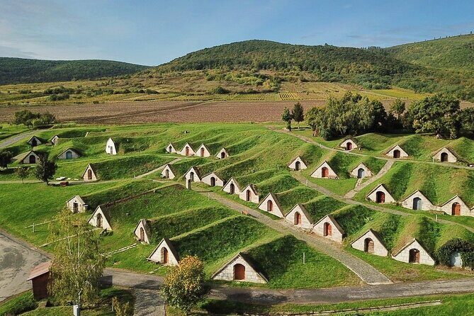 UNESCO World Heritage Wine Day Tour in Tokaj Hungary with Food - The Experience: What You Can Expect