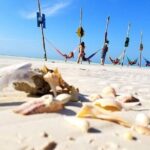 Unforgettable Tour Holbox 2 Islands & Cenote Yalahau from Cancún - Who Is This Tour Best Suited For?