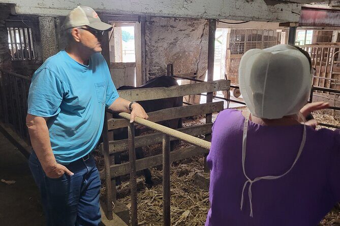 Unique Amish Immersion in Lancaster - Authenticity and Education: Why It Matters