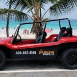 Unique Buggy Rental on the Big Island, Hawaii - Who Is This Experience Best For?