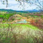 Unique Day Trip from Rome to Terme di Saturnia - Authentic Experiences and Genuine Value