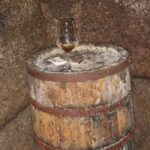 Unique EnoBike experience with tasting in 2 excellent wineries - An In-Depth Look at the EnoBike Tour in Orvieto