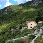 Unique gastro experience with locals in high hills above Budva! - The Value of This Tour