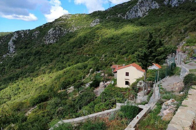 Unique gastro experience with locals in high hills above Budva! - The Value of This Tour