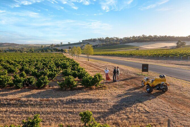 Unique Trike Barossa Valley Half Day Private Tour For 2 - Summary: Who Will Love This Tour?