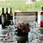 Unique wine tasting of organic Cretan wines - Deep Dive: What to Expect During Your Visit