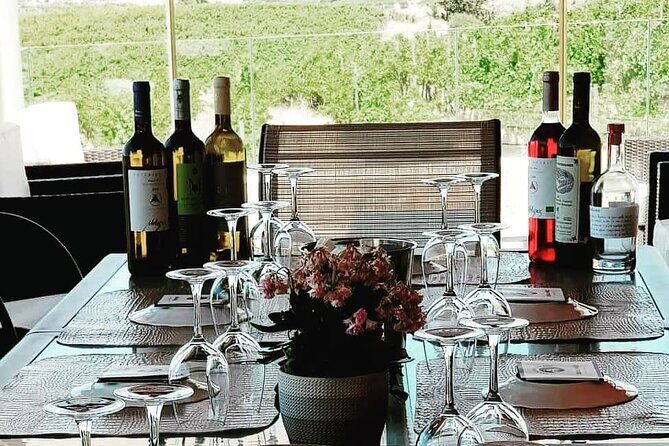 Unique wine tasting of organic Cretan wines - Deep Dive: What to Expect During Your Visit